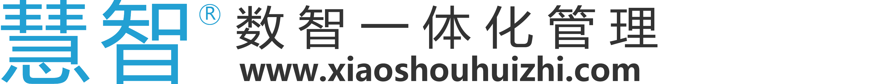 销售慧智官方网站