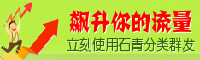 网站推广软件,分类信息工具