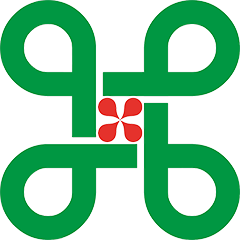 首页