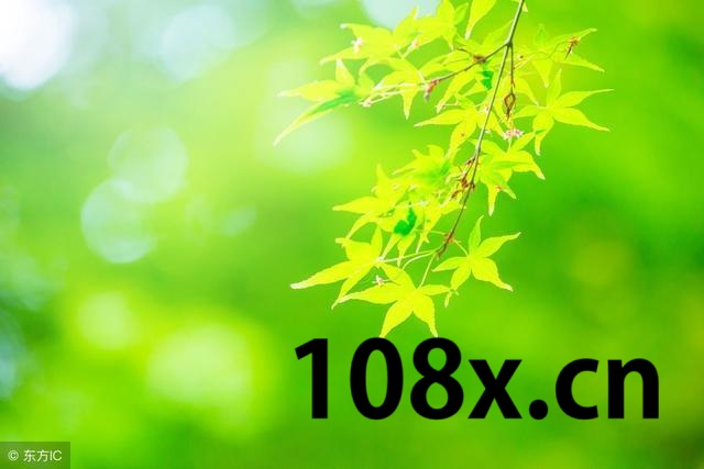 山东至强网络科技有限公司