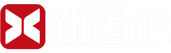 新国企