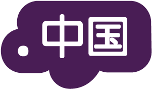 专业网络品牌中文域名