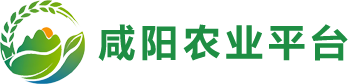 咸阳农业平台