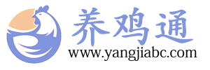 养鸡通