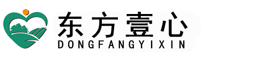 东方壹心（陕西）教育科技有限公司