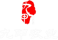 圣贤文化(泉州市圣贤文化传媒有限公司)