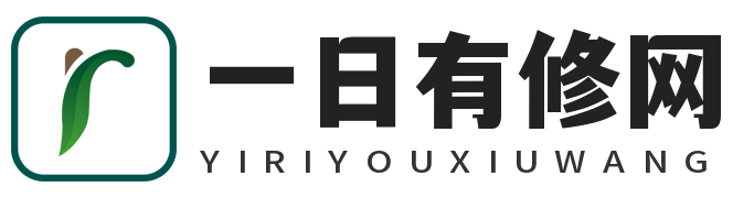 一日有修网