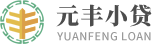 元丰小贷官网