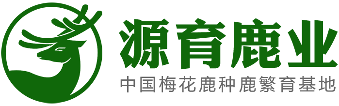联系我们99公司客服电话19989979993(99贵宾