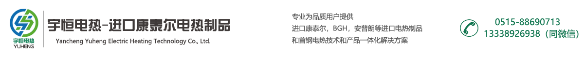 进口电炉丝