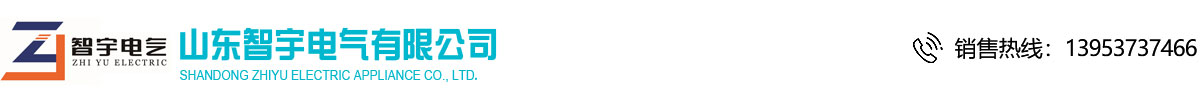 山东智宇电气有限公司