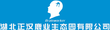 湖北养鹿场,湖北养鹿基地,湖北休闲渡假村,湖北生态园农场,梅花鹿养殖场,梅花鹿养殖基地