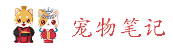 宠物狗