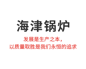 枝江市海津节能锅炉厂
