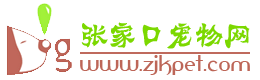 张家口狗狗网丨张家口狗市丨张家口买卖狗丨张家口宠物服务丨张家口宠物美容丨张家口宠物医院丨张家口狗狗领养