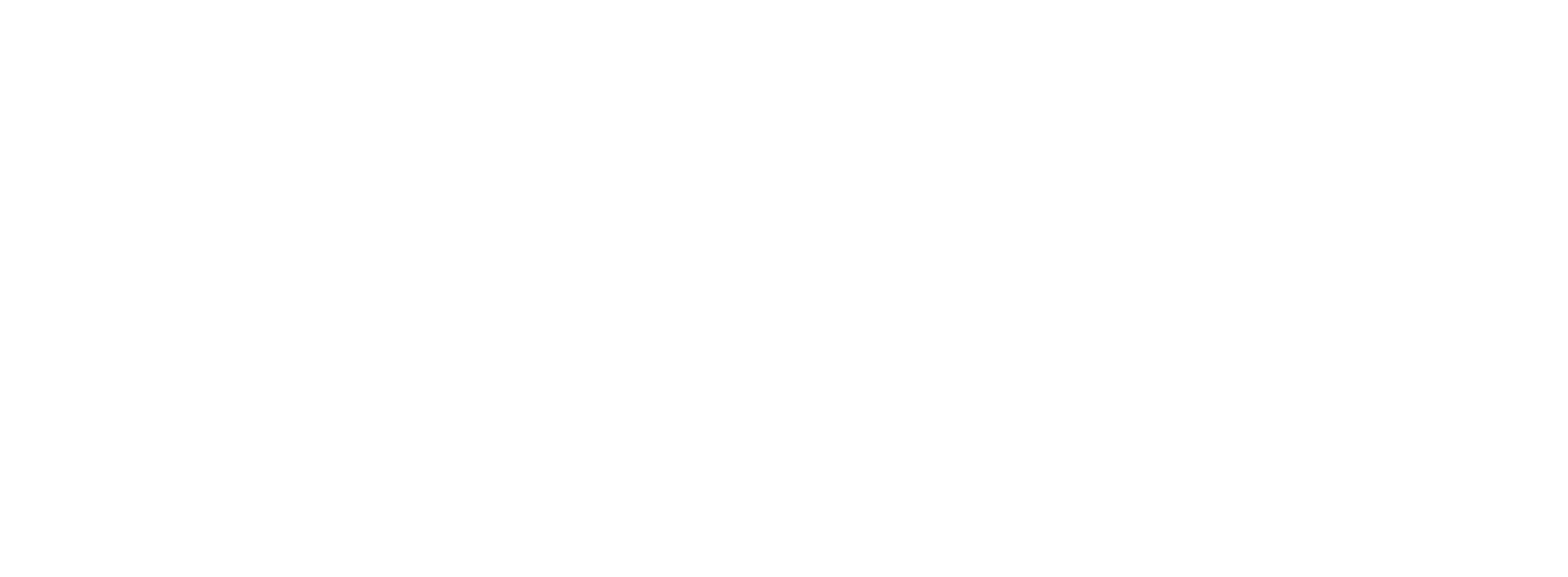 智盛美集团