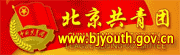 志愿朝阳网