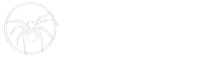 九蜘蛛采集技术有限公司