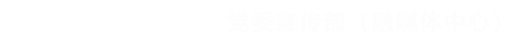 党委宣传部