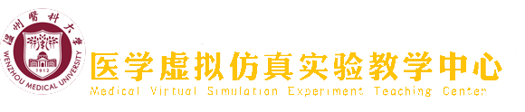 虚拟仿真门户2024