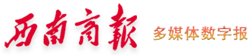 西南商报2025年11月14日