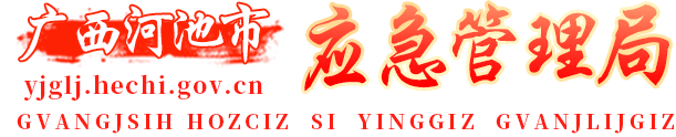 广西河池应急管理局网站