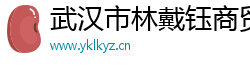 武汉市林戴钰商贸有限公司