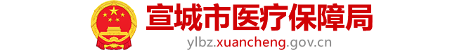 宣城市医疗保障局