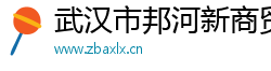 武汉市邦河新商贸有限公司